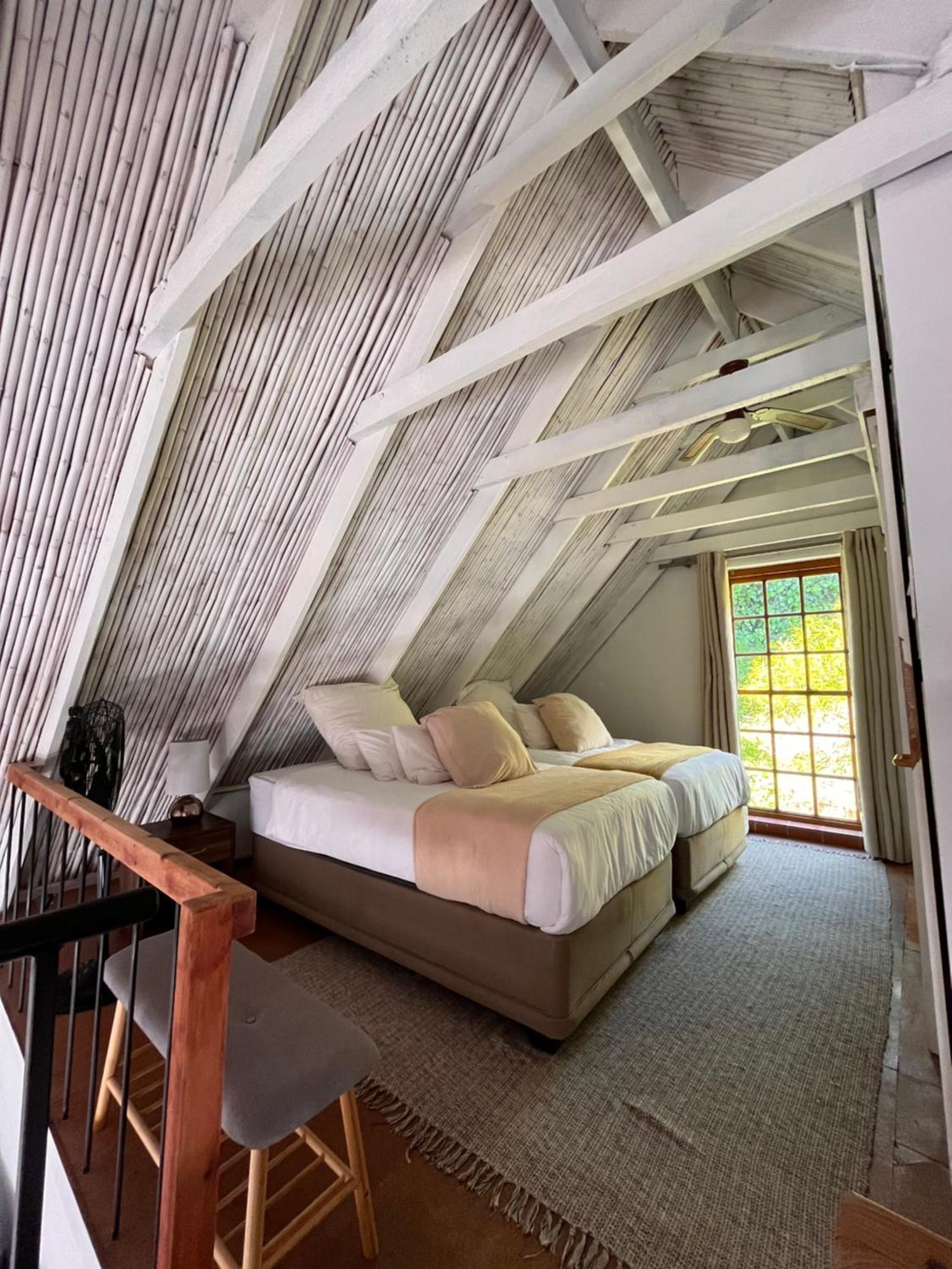 Cozy Camps Bay House With Mountain And Sea View Villa Cape Town Eksteriør bilde